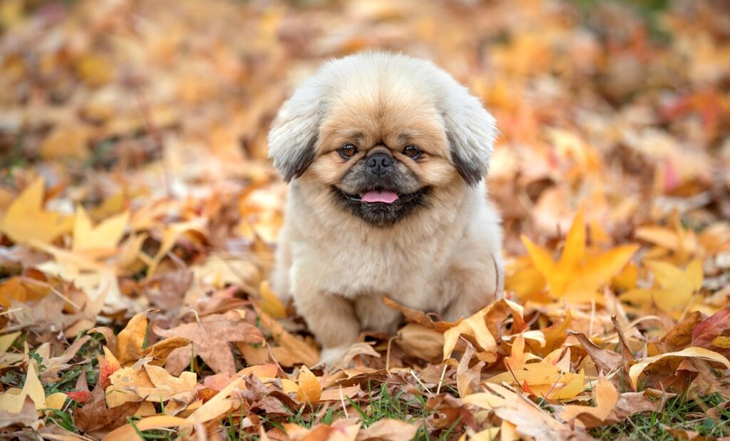 お歳暮を上司に贈る際、何がいいか悩んでいる方へおすすめは？