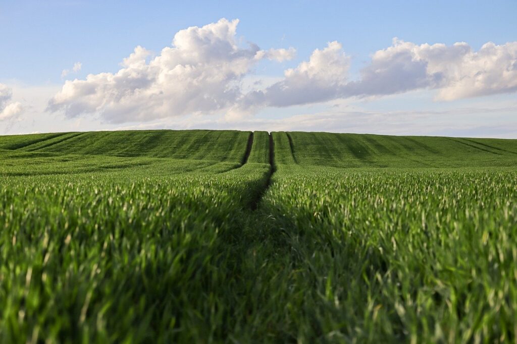 お歳暮に最適な乾麺セットは会社向けにどれが人気？