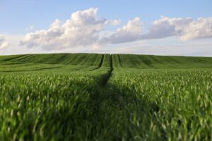 お歳暮に最適な乾麺セットは会社向けにどれが人気？