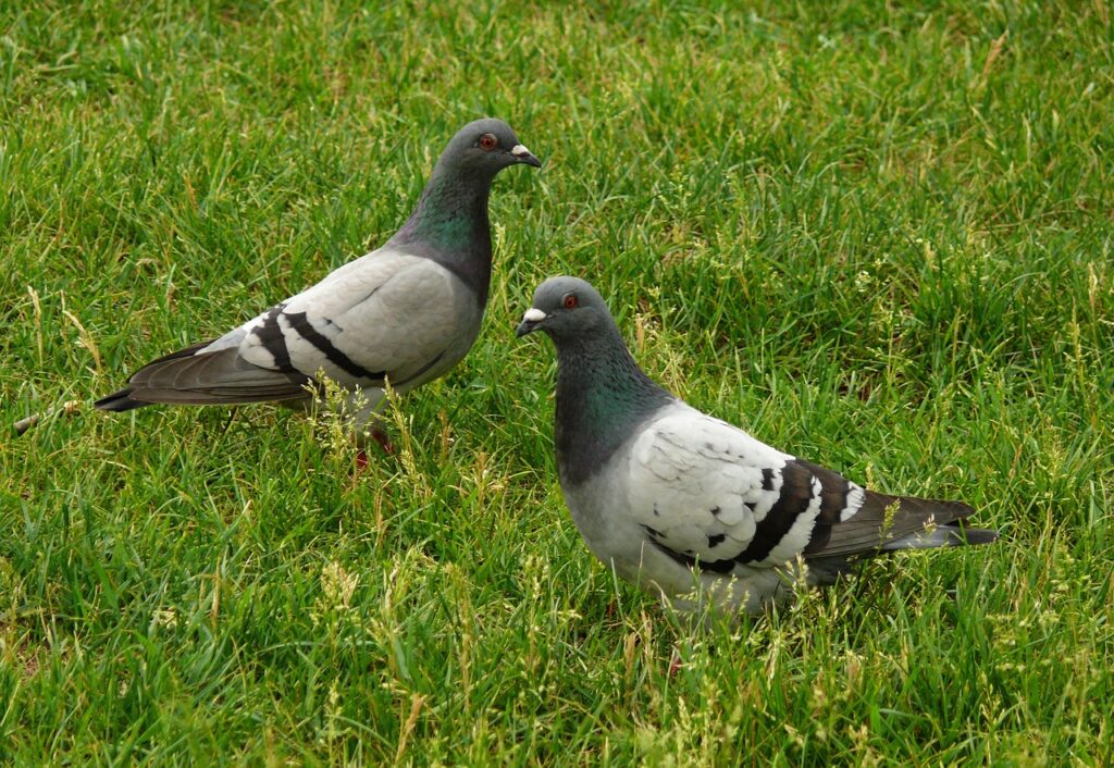 お歳暮の送り状に記載する依頼主の名前はどれが適切？