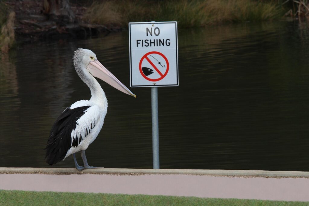親戚にお歳暮を贈ってはいけないものは何ですか？