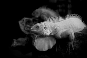 お歳暮を取引開始初年度に送るべきアイテムは？