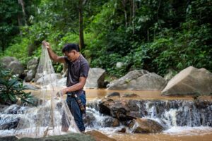 お歳暮を百貨店でネット注文する際の便利な方法は？