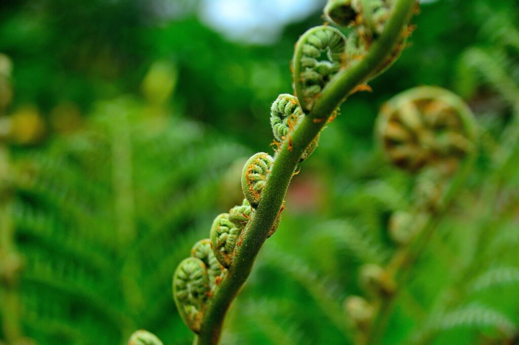 お歳暮に最適な無添加ソーセージを取引先向けに選ぶポイントは？