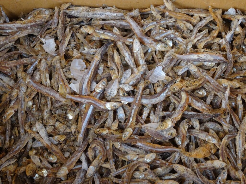お歳暮に最適な干物ギフトは取引先向けにどれがおすすめ？
