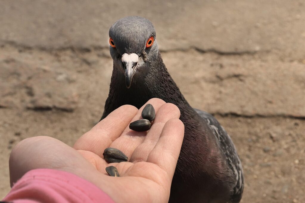 お歳暮の送り方はこれで決まり！失敗しないためのポイントは？