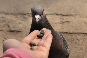 お歳暮の送り方はこれで決まり！失敗しないためのポイントは？